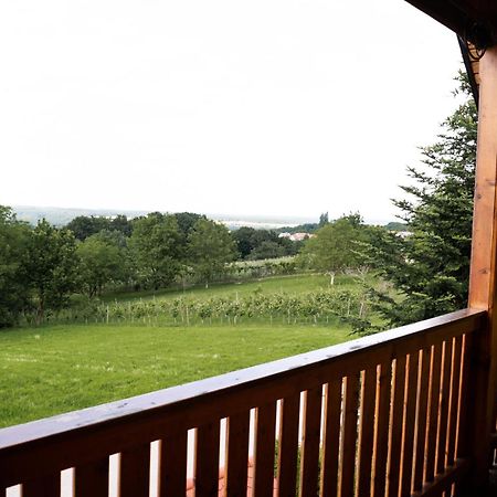 Apartma-Spa Natura Sveti Jurij ob Scavnici Bagian luar foto