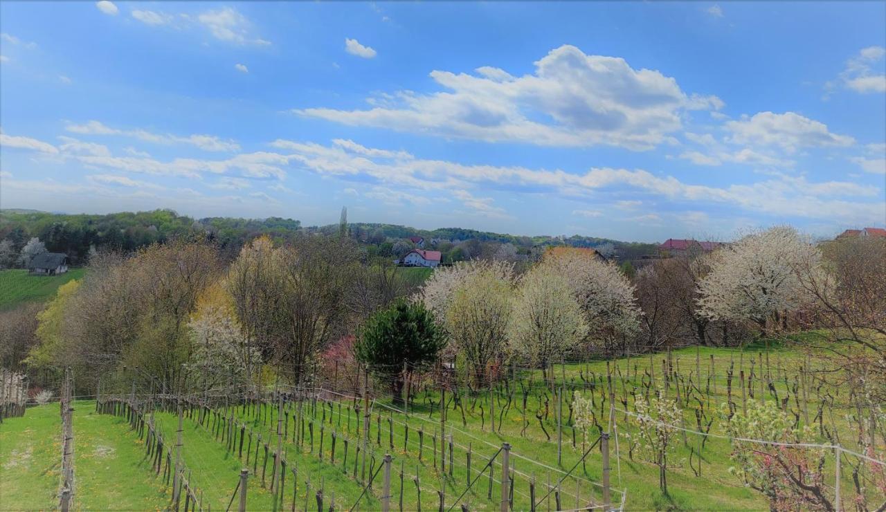 Apartma-Spa Natura Sveti Jurij ob Scavnici Bagian luar foto