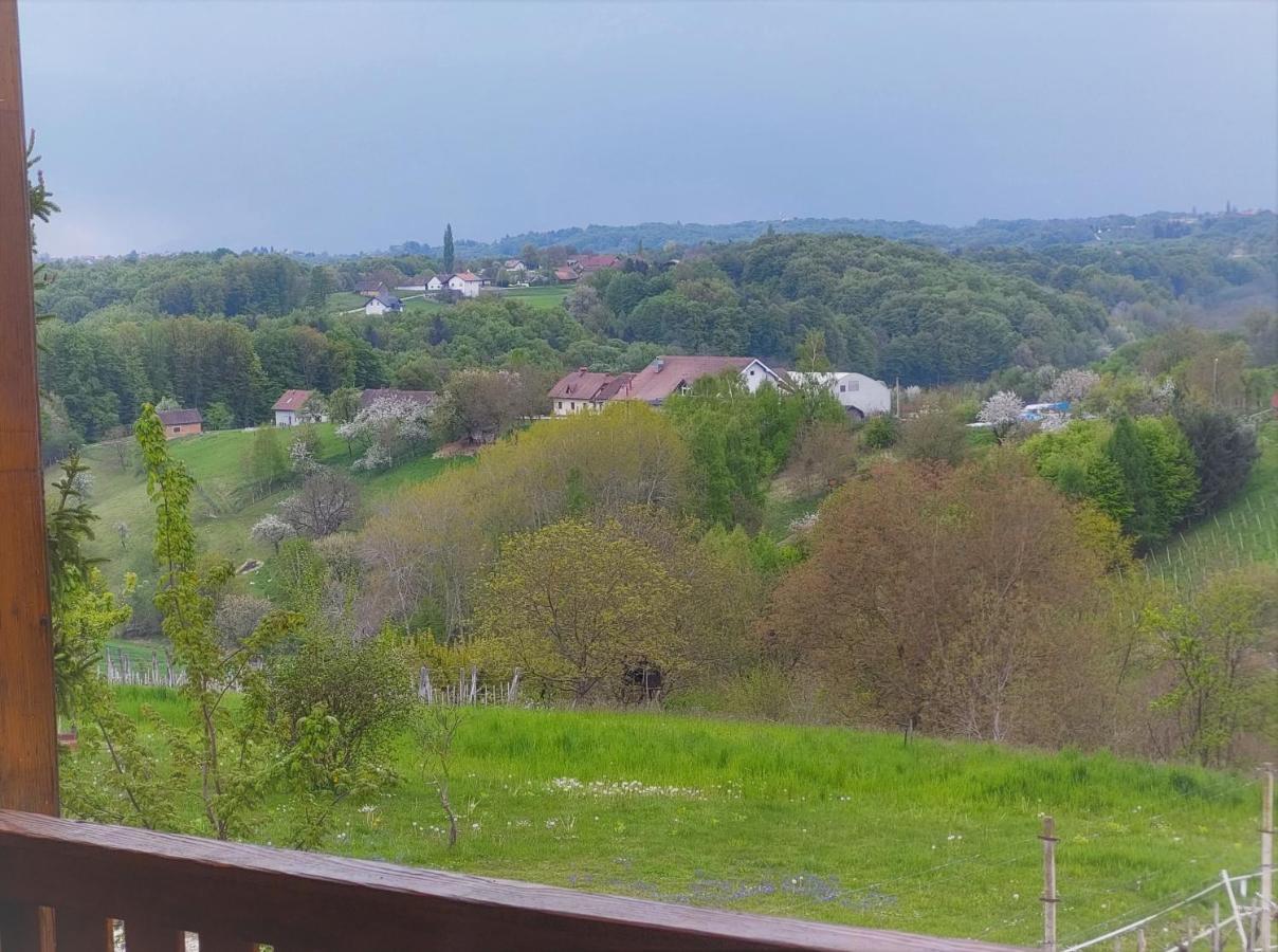 Apartma-Spa Natura Sveti Jurij ob Scavnici Bagian luar foto