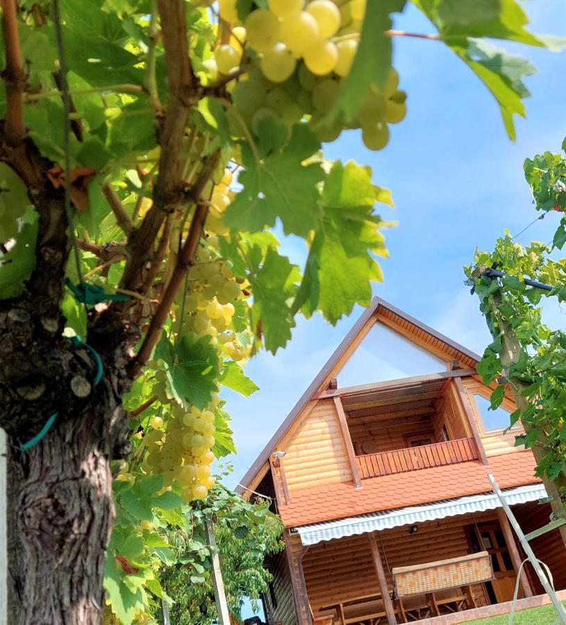 Apartma-Spa Natura Sveti Jurij ob Scavnici Bagian luar foto