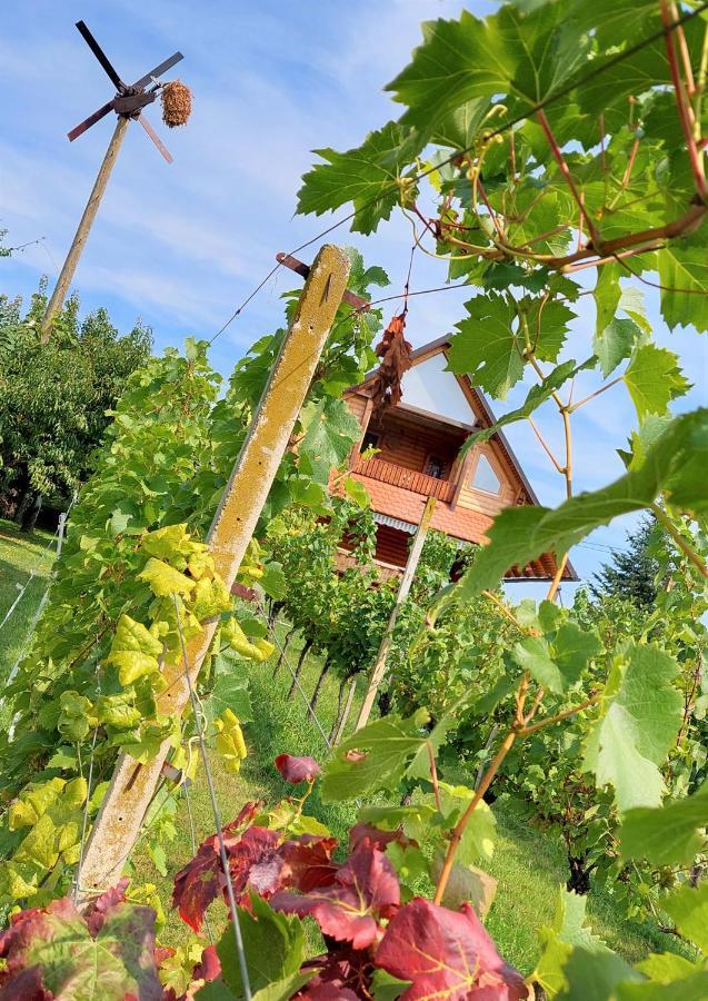 Apartma-Spa Natura Sveti Jurij ob Scavnici Bagian luar foto
